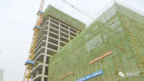 黃陂區(qū)融媒體中心大樓主體工程順利封頂，二期建設(shè)即將全面展開